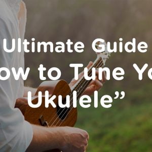 Read more about the article What Are the Ukulele Strings: The Ultimate Guide to Ukulele Strings in 2024