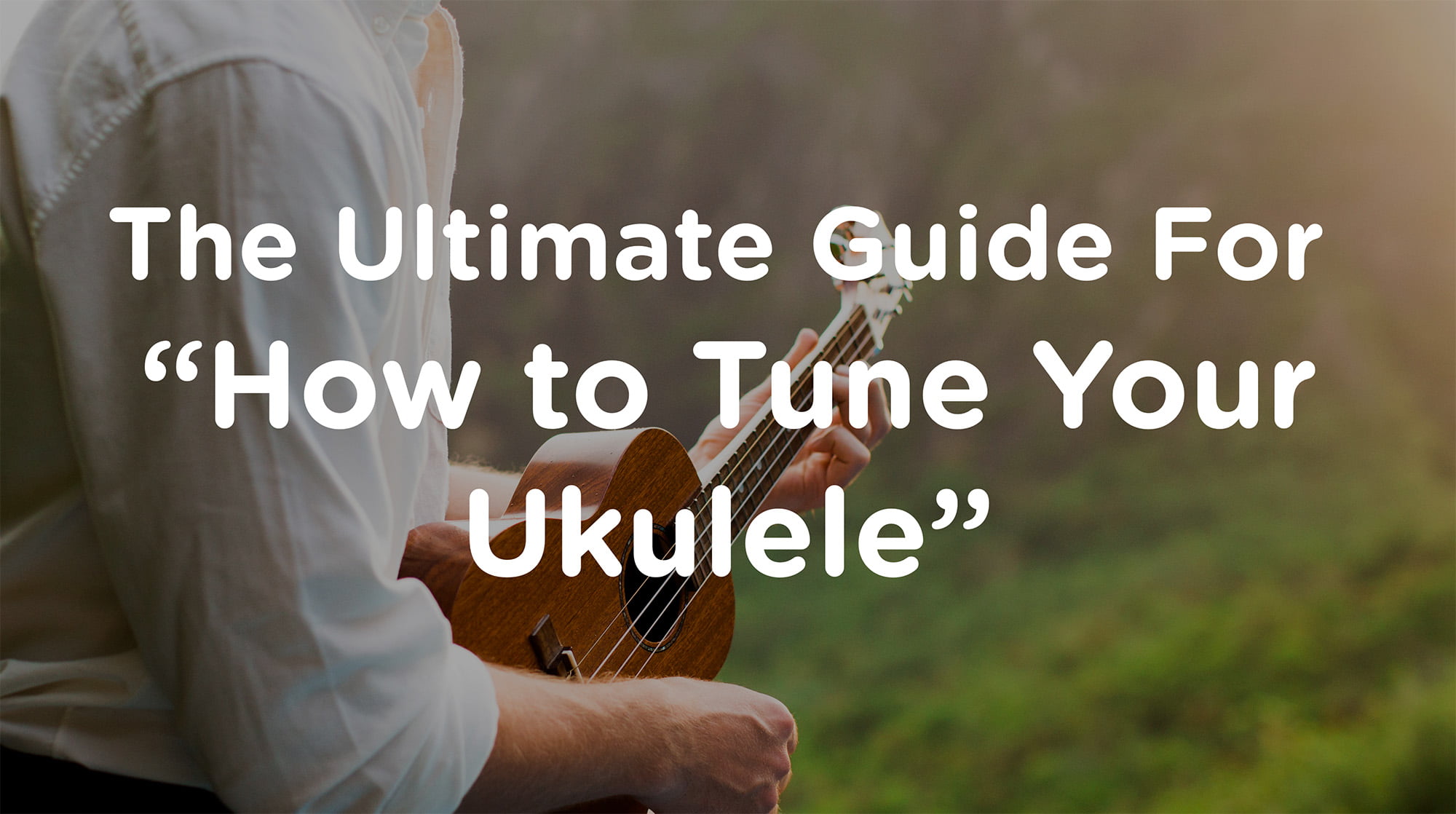 You are currently viewing What Are the Ukulele Strings: The Ultimate Guide to Ukulele Strings in 2024