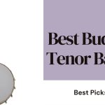 Discovering the Best Budget Tenor Banjo: A Comprehensive Guide in 2024