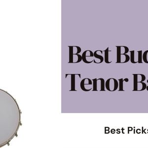 Read more about the article Discovering the Best Budget Tenor Banjo: A Comprehensive Guide in 2024