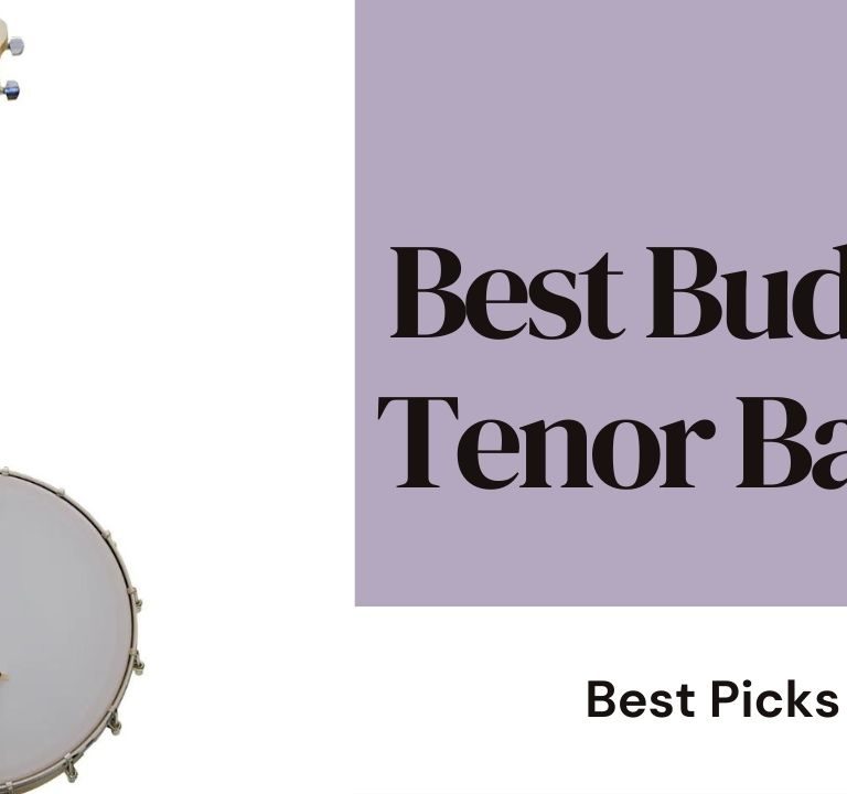 Best Budget Tenor Banjo