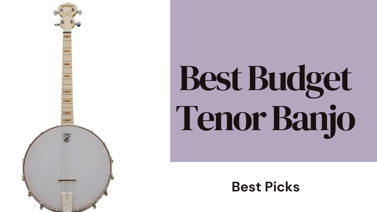 Best Budget Tenor Banjo