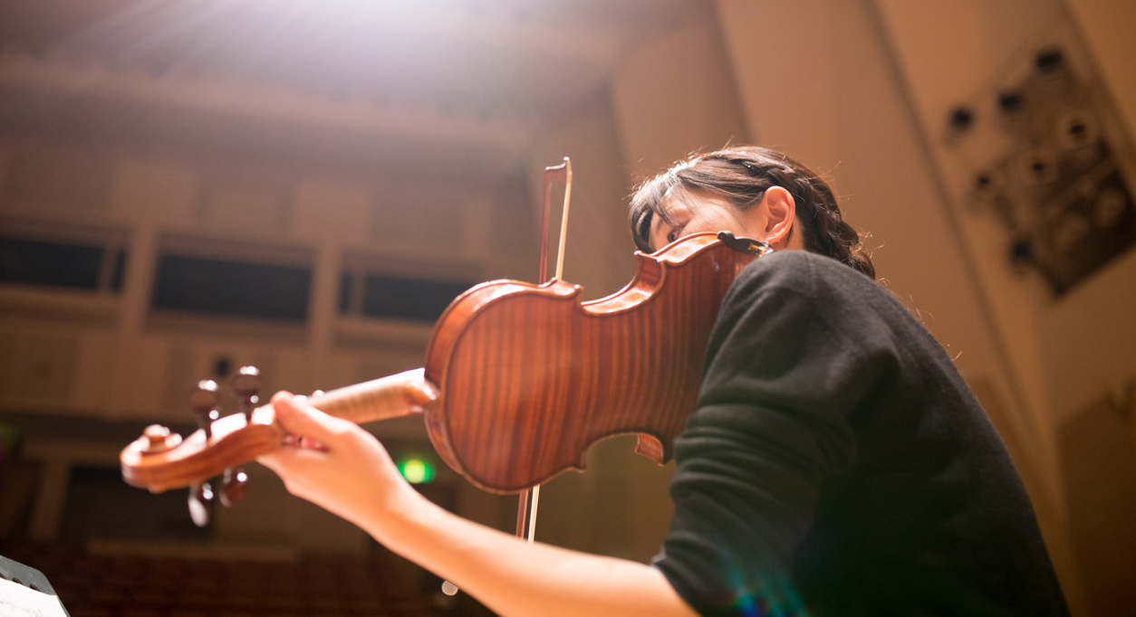 Best Bow for Violin 2024: How to Find the Best Violin Bow!